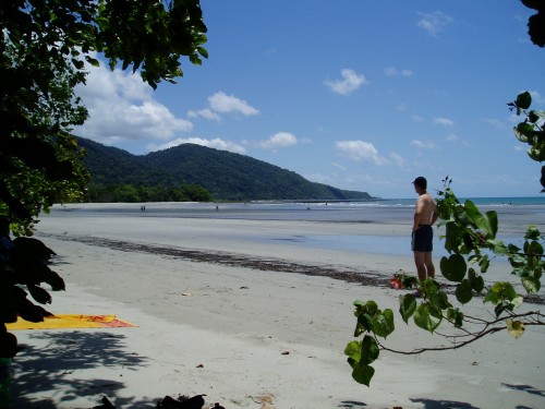 Cape Tribulation