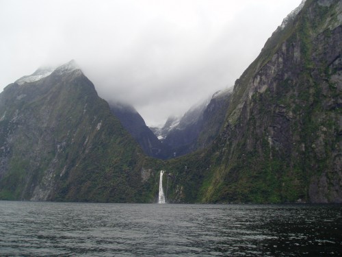 in Milford Sound